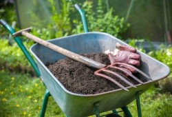 topsoil delivered in Auckland